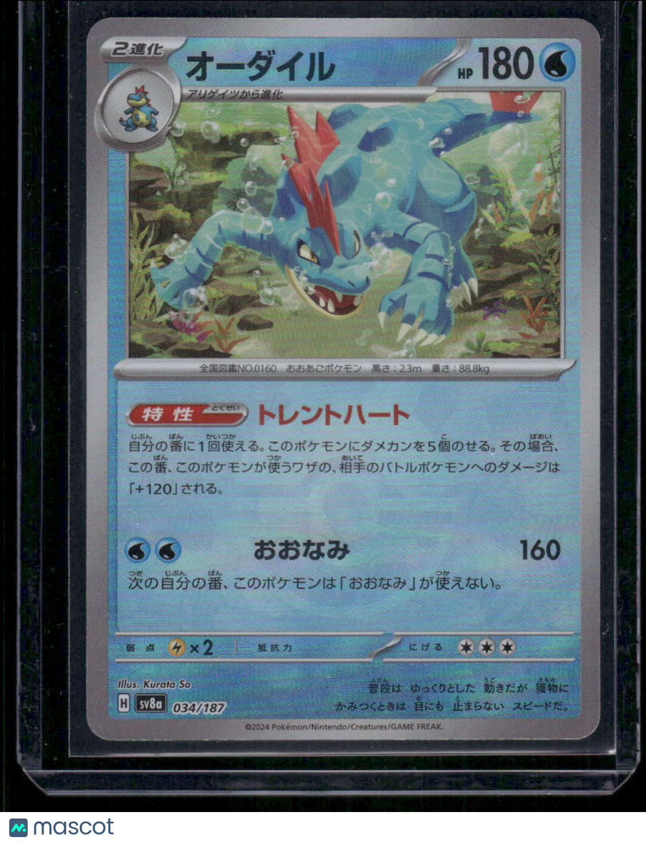Feraligatr #34/187 Japanese Master Ball 2024 Pokemon