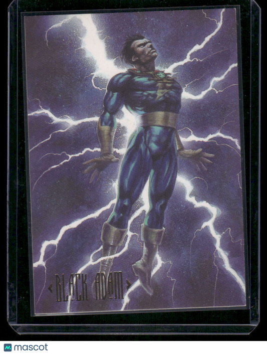 1994 SkyBox DC Master Series Black Adam #41