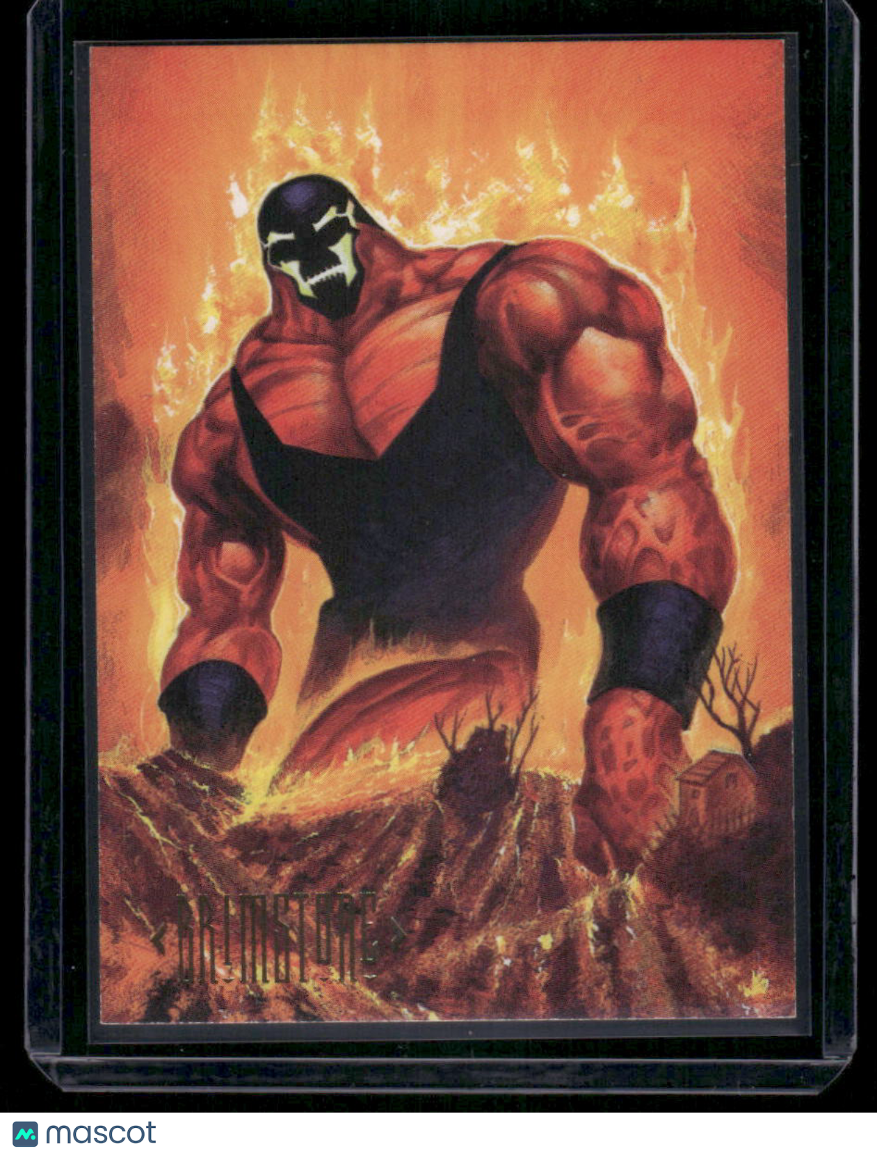 1994 SkyBox DC Master Series Brickhouse #43
