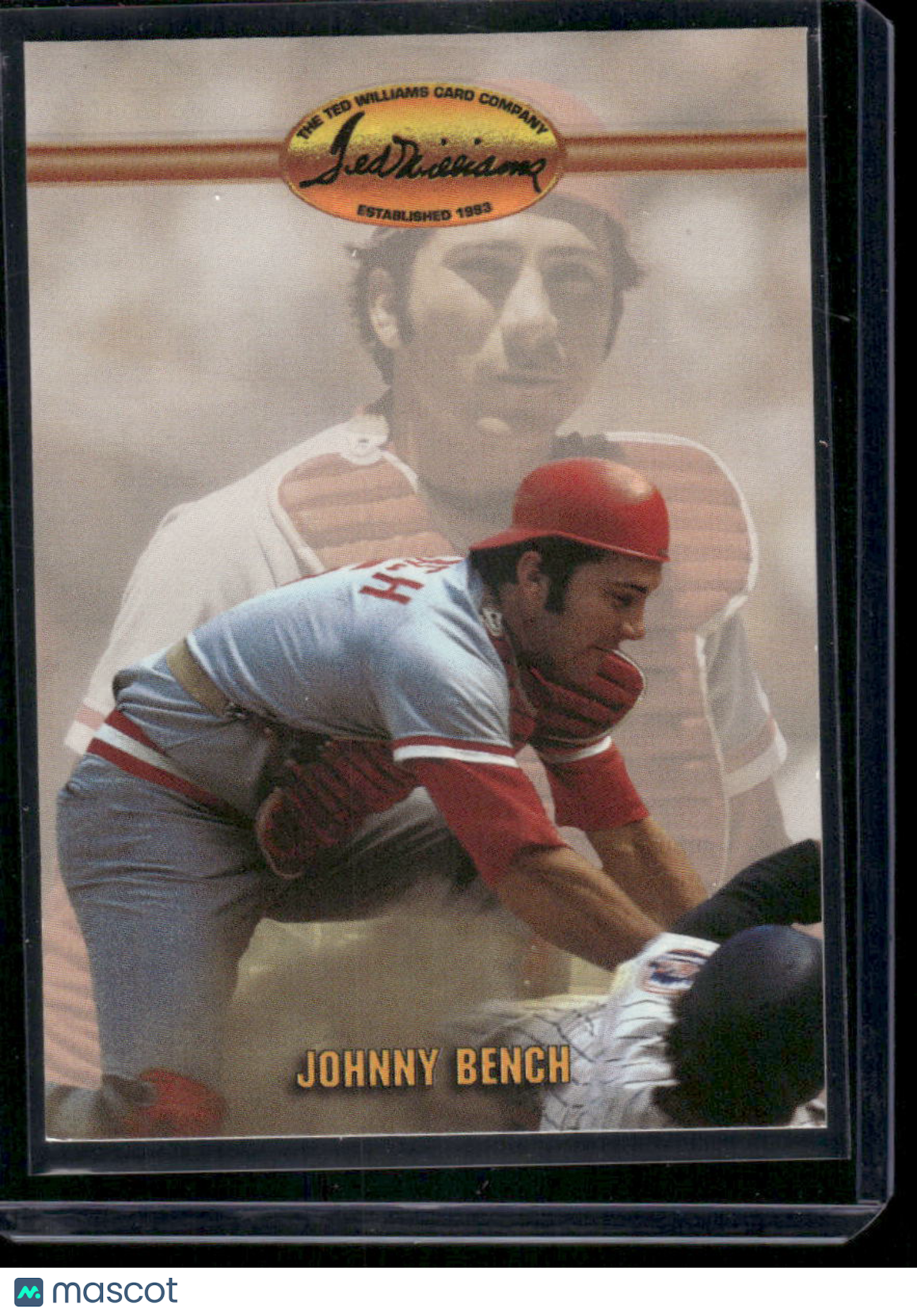 1970 Ted Williams Johnny Bench #28 Baseball