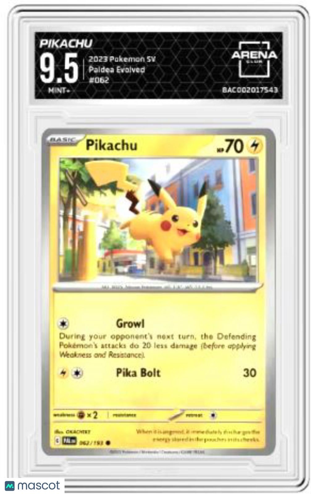 2023 Pokémon TCG Pikachu #062/193 Arena Club 9.5 Paldea Evolved