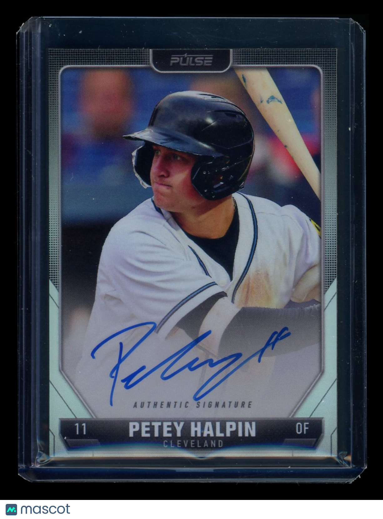 2024 Pulse Baseball Petey Halpin #A-PHA Authentic Signature Baseball