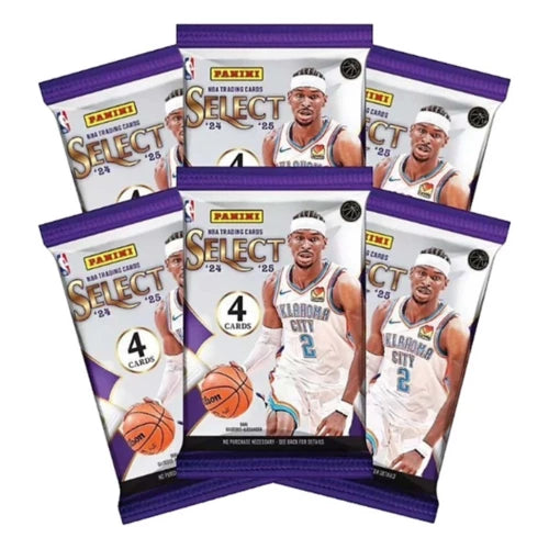 Panini 2024-25 Select Basketball Blaster