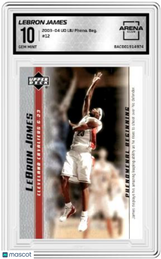 2003-04 UD Phenomenal LeBron James #12 Basketball Arena Club 10