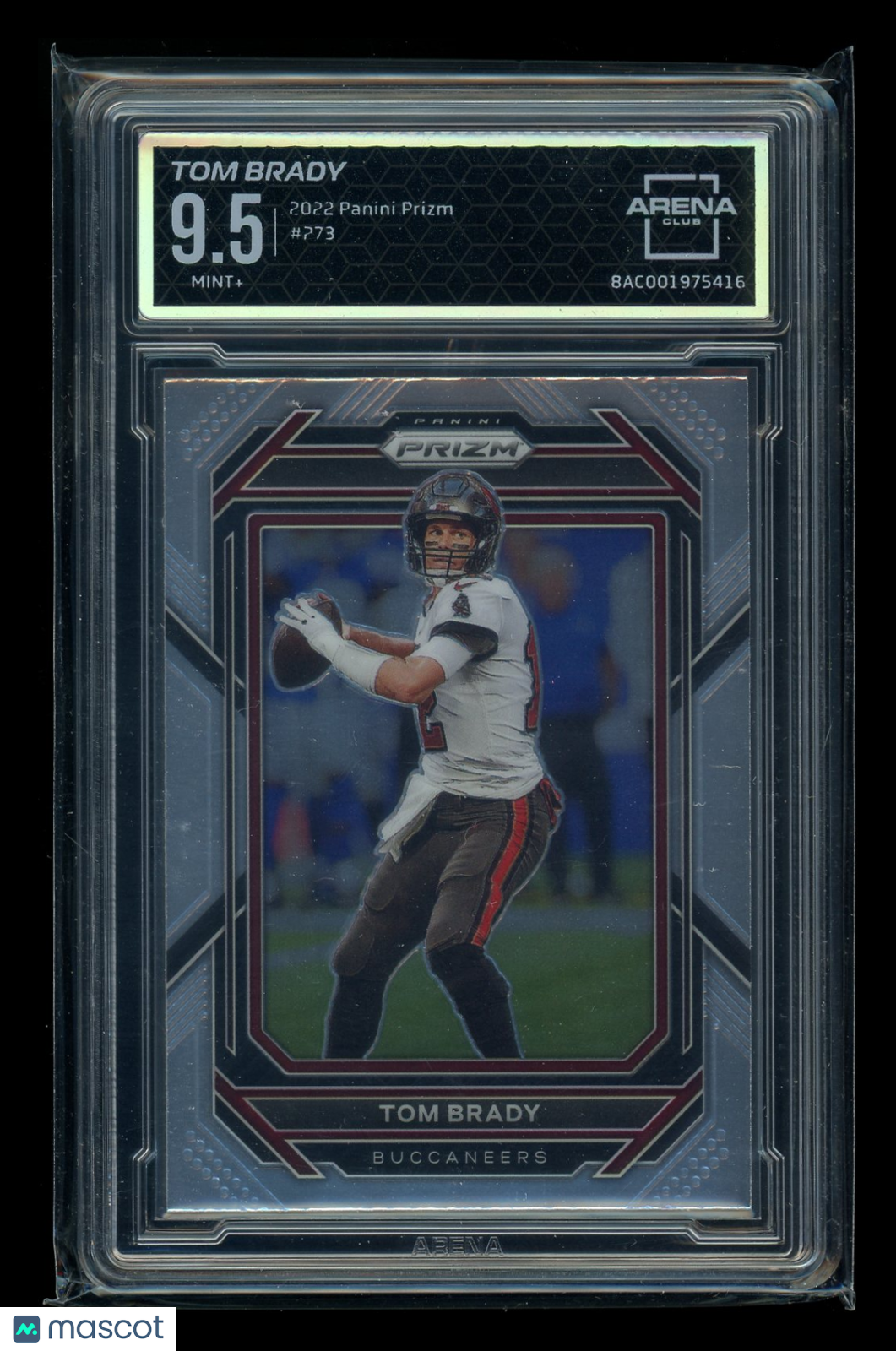 2023 Panini Prizm Tom Brady #273 Football Arena Club 9.5