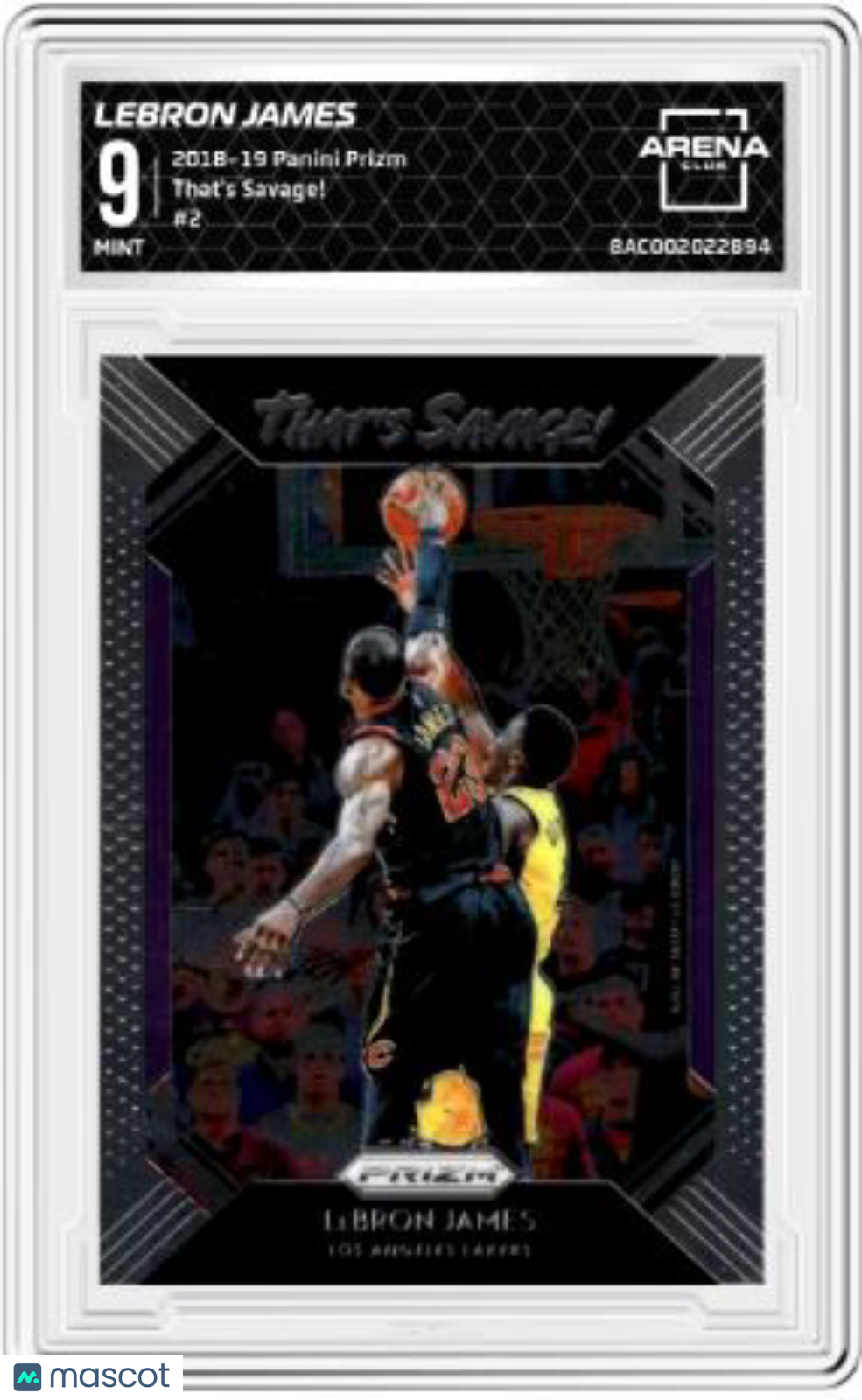 2018-19 Panini Prizm LeBron James #2 Basketball Arena Club 9