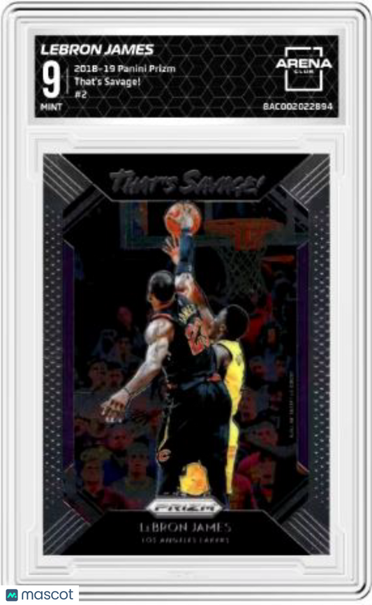 2018-19 Panini Prizm LeBron James #2 Basketball Arena Club 9