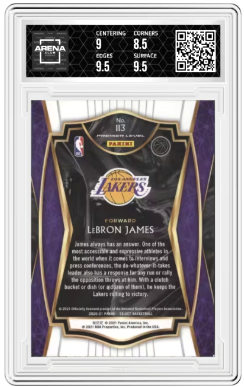 2020-21 Panini Select LeBron James #113 Pre Level Basketball Arena Club 9