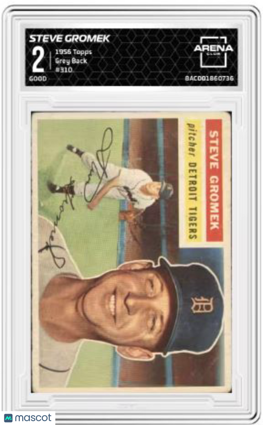 1956 Topps Steve Gromek #310 Grey Back Baseball Arena Club 2