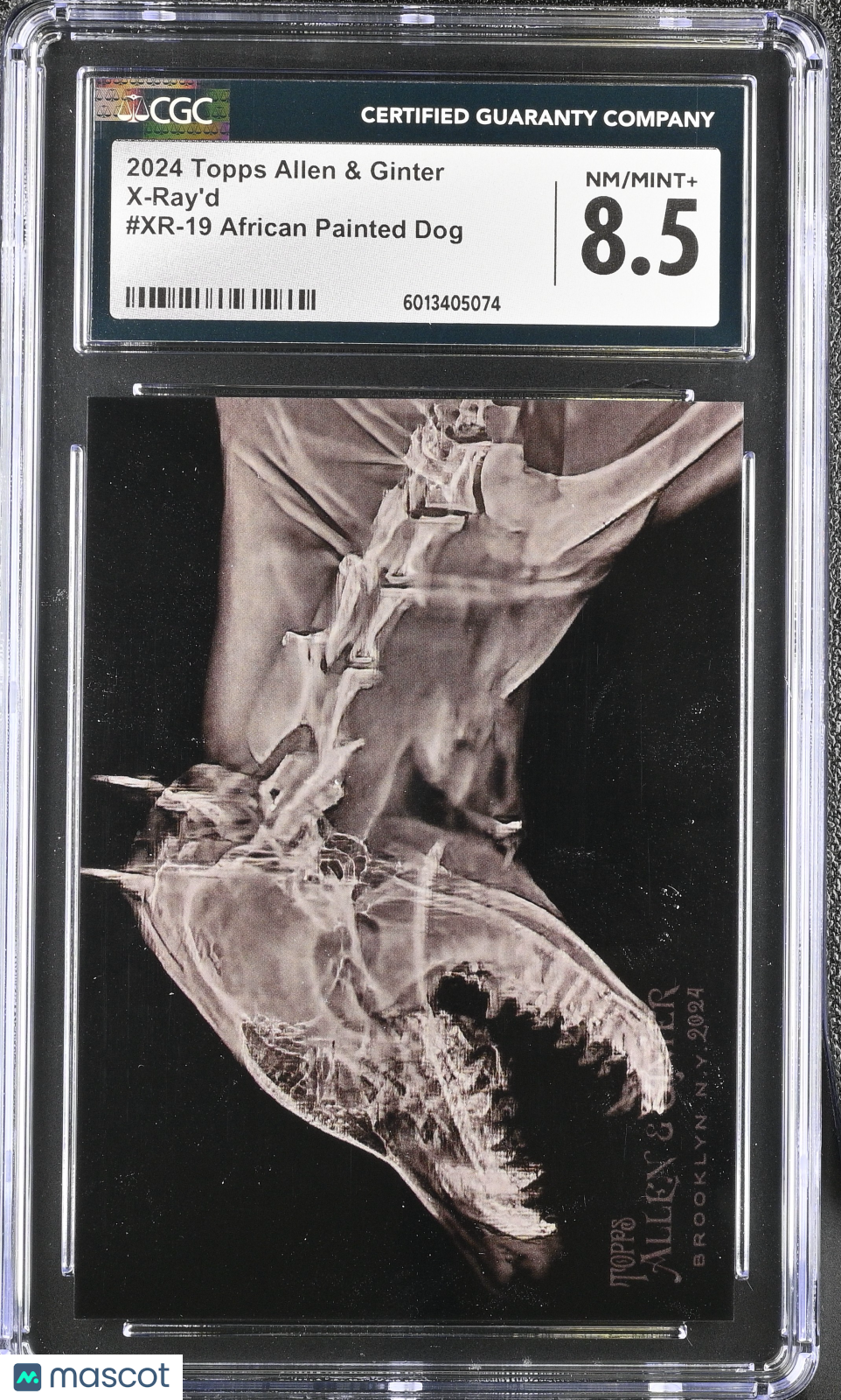 2024 Topps Allen & Ginter African Painted Dog #XR-19 X-Ray'd Baseball CGC 8.5