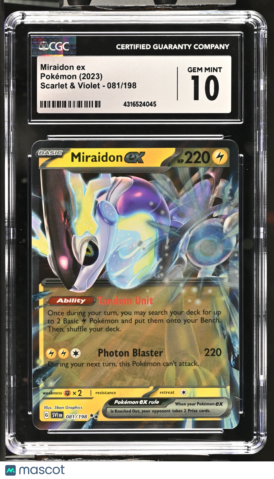 Pokémon Miraidon ex #081/198 English CGC 10 2023 Pokémon Scarlet & Violet